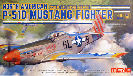 1/48 ノースアメリカン P-51D マスタング 戦闘機